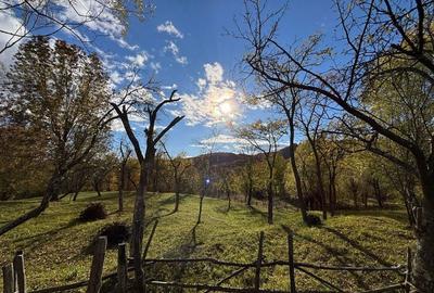 Spațiu comercial, în Central - 3