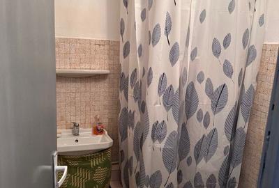 Apartament 4 camere Micalaca - 6