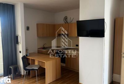 Garsonieră, mobilată în Buziașului - 3