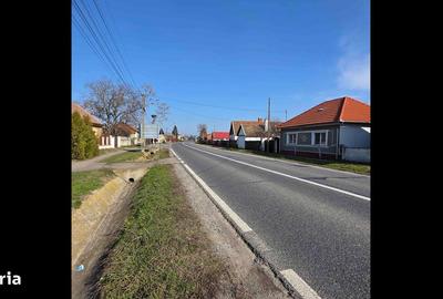 Casă cu 3 camere cu Teren 4041 Mp în Roșiori