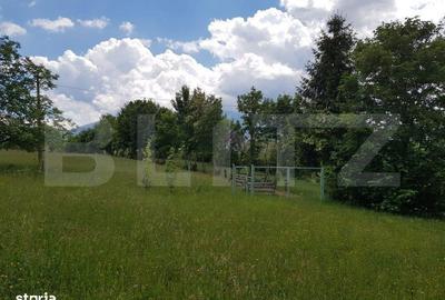 Spațiu comercial, în Predeluț - 6