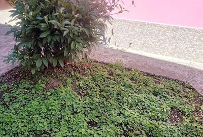 Casă în Lazaret - 5