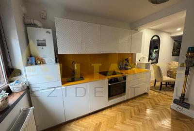 Splaiul Unirii Vila P+1+M, Mobilata si Utilata - 4 camere, 2 bai - 6