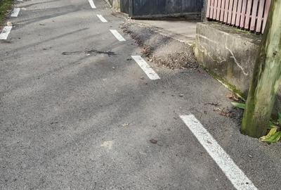 Casă cu 3 camere cu Teren 1538 Mp în Măgura (Bezdead) - 1
