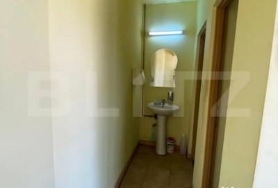 Spațiu comercial, de 300 mp, în Viișoara - 8