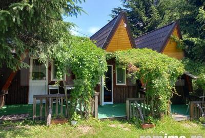 Casă cu 8 camere cu Teren 6060 Mp în Poiana Stampei - 4