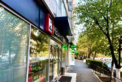 Spatiu comercial 270 mp de vanzare – Tineretului, vad intens - 2