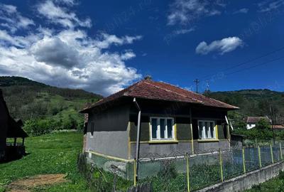 Casă cu 2 camere în Balșa - 5