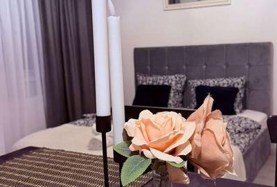 Garsonieră în Chiajna - 1