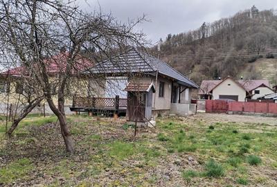 Casă cu 2 camere în Rusca - 4