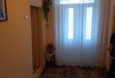 Casă cu 3 camere în Osica de Sus - 8