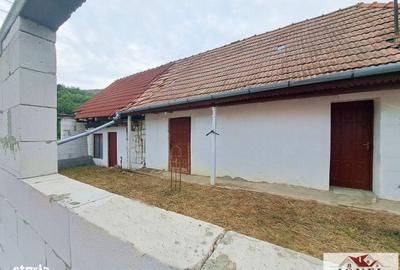 Casă cu 2 camere cu Teren 345 Mp în Mirăslău - 6