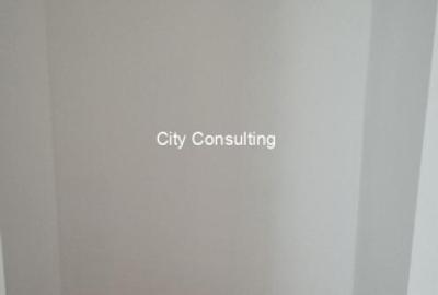 Vanzare apartament 3 camere Colentina Berindei - 9