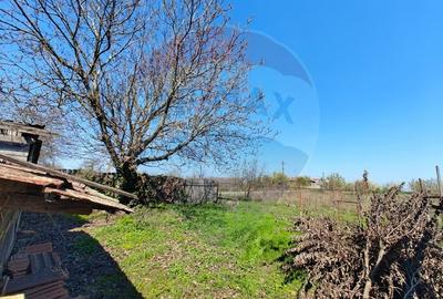 Casă individuală cu 3 camere cu Teren 2175 Mp în Mailat - 17