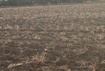 Vand teren intravilan Branesti 2500 mp, pret 70 euro/mp - 3