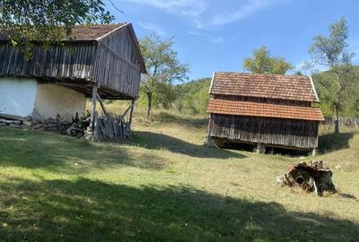 Casa de vanzare+terenuri - 4