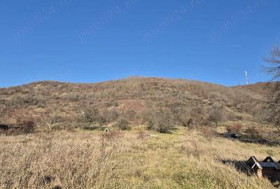 Teren de 3000 mp, în Aninoasa - 3
