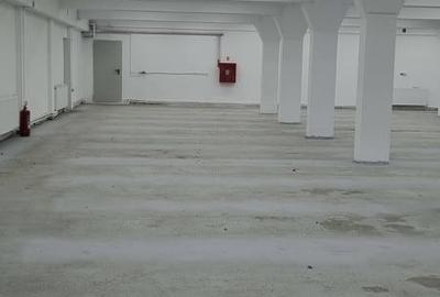 Spațiu comercial, de 600 mp, în Bascov - 5