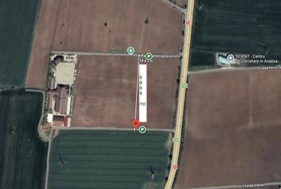 Teren de 5000 mp, în Săftica - 1
