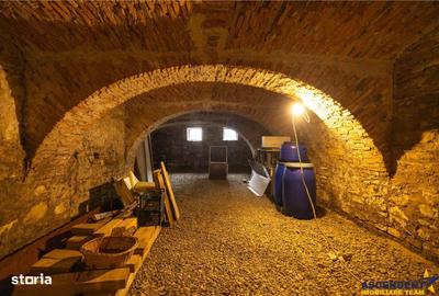 Spațiu comercial, de 195 mp, în Central - 14