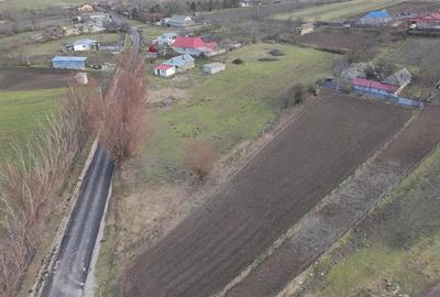 Teren Construcții intravilan de 4931 mp, în Frecăței - 6