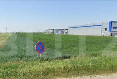 Teren extravilan agricol, 9716 mp, la DN69 Timisoara-Arad - 1