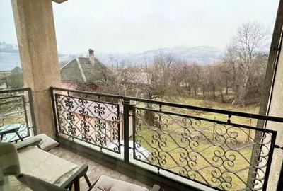 Vanzare casa in Abrud - 13