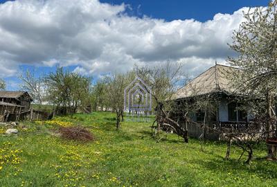 48 ari teren , cu casa batraneasca, Antoceni, Forasti, Sucea - 1
