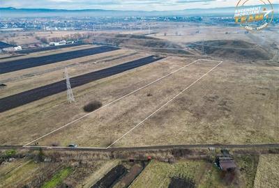 11.600 mp in Sfantu Gheorghe,deschidere: agroturism, investitie, ferma, comercia - 3