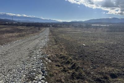 Spațiu comercial, în Mohu - 6