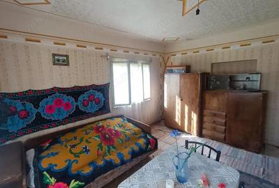 Casă cu Canalizare în Măgulicea - 4