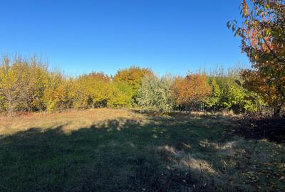 Teren constructie 800mp Rediu Horlesti - 2