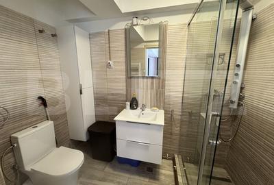 Apartament cu 2 camere semidecomandat, mobilat în Brazda lui Novac - 10