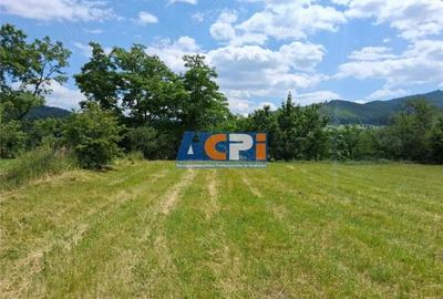 Doua loturi teren plat, Stejaru, DN 15, cu iesire la raul Bistrita - 3