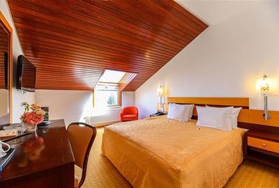 Elegant Ansamblu, Investitional & Antreprenorial Class,Brasov - 20