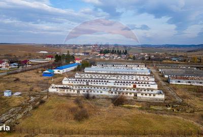 Spațiu comercial, de 800 mp, în Traian - 11