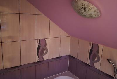 De vanzare Casa cu 3 camere si 2 parcele de teren comasate in Crai Nou - 3