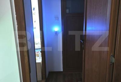 Apartament cu 2 camere semidecomandat în Banat - 9