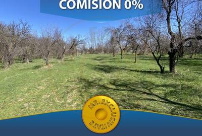 Teren Intravilan 3470 MP - Bradu, Arges - Toate utilitatile-0% COMISION