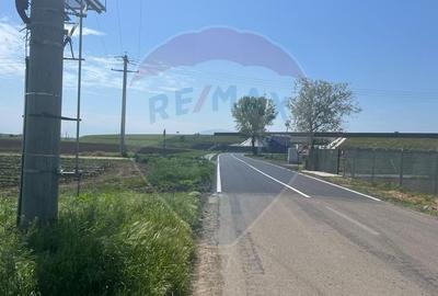 Teren intravilan/extravilan Jorasti / Strada Forturi ( principala) - 2