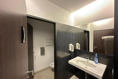 Spatii de birouri in Pipera Business Tower  de la 210 mp - 19