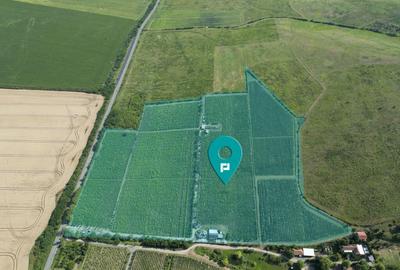 Vie Tradi?ionala Halta Lupilor - 7