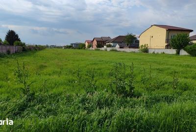 Teren de 4866 mp, în Clinceni - 4