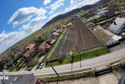 Teren de 10262 mp, în Albești