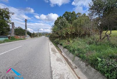 Lot teren 8.344 mp - Deschidere la 3 drumuri - Buhoci! - 3