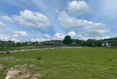 Teren Construcții intravilan de 3738 mp, în Cisnădioara - 16