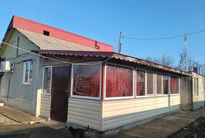 Casă cu 3 camere cu Teren 1800 Mp în Sărulești - 1