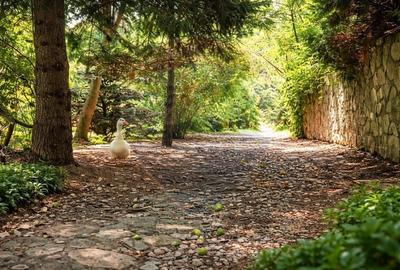 Casă cu 7 camere cu Teren 1798.1600341797 Mp în Izvorani - 13