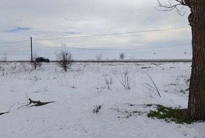 Spațiu comercial, în Pasărea - 5