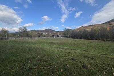 Teren de 2000 mp, în Stulpicani - 6